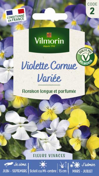 Fleurs - Viola Cornuta Variée - PACKAGING_RECTO